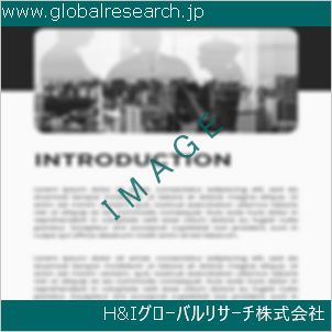 グローバルリサーチ調査資料のイメージ